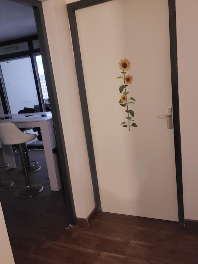 蒙彼利埃Le Loft公寓 外观 照片